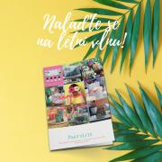 Katalog Léto 2020